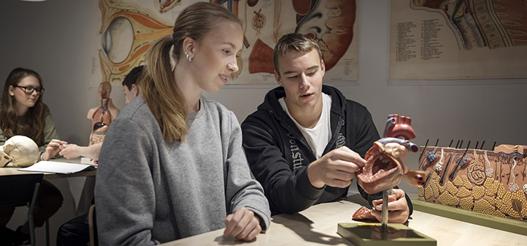 Bild på gymnasieelever.